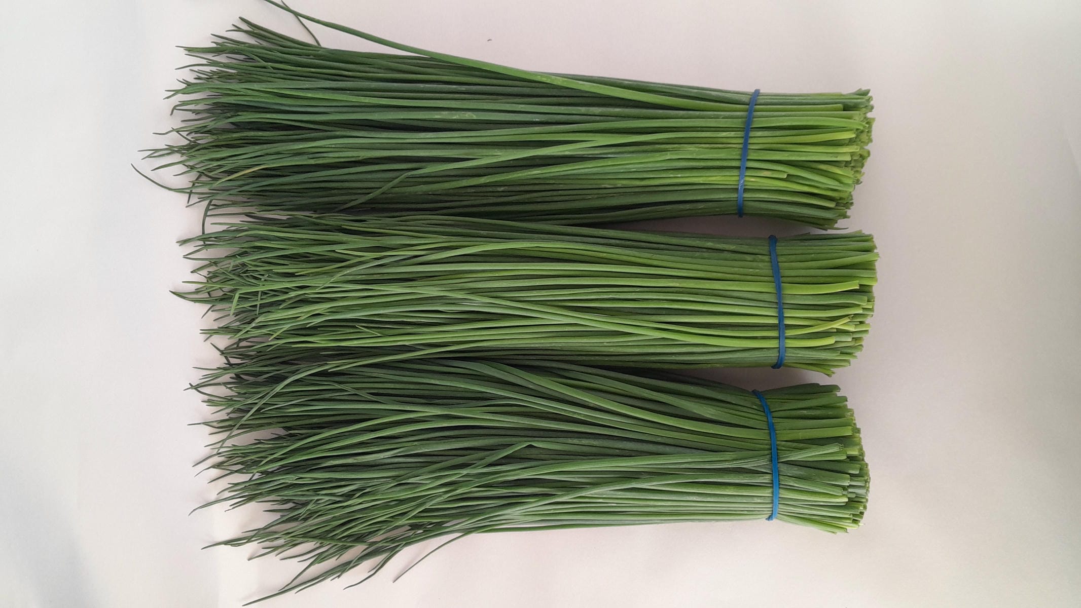 Chives.jpg